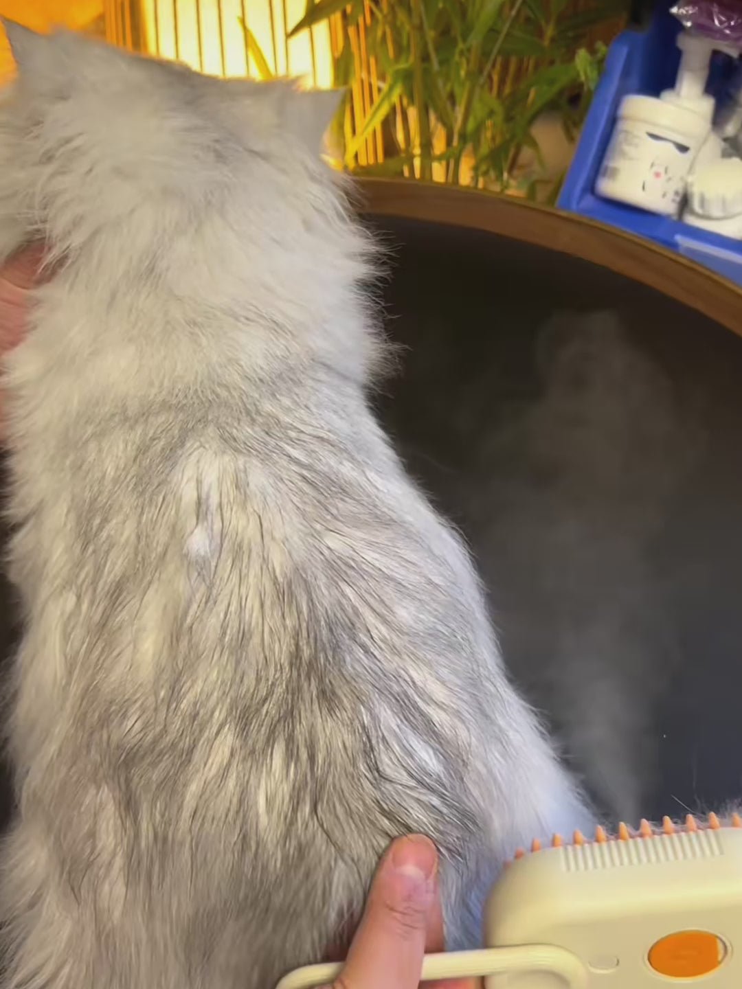 Steam Pet Brush – Καθαρισμός με ατμό, μασάζ και απομάκρυνση τριχώματος